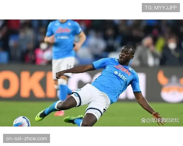 关键一防：那不勒斯中卫库利巴利在门线上的连续两次封堵镜头回放