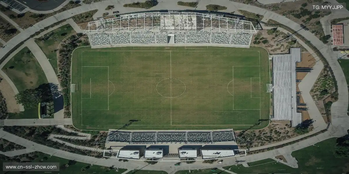 📺 全局AI预测趋势，观赛升级为战术学习！🧠